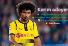 Karim adeyemi